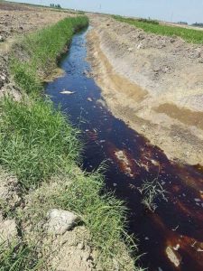 پس اب رادارکیله در تالاب