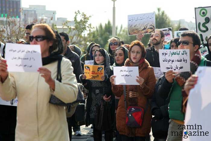 لایحه حمایت از حیوانات