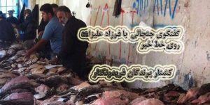 نسل کشی پرندگان مهاجر در فریدونکنار