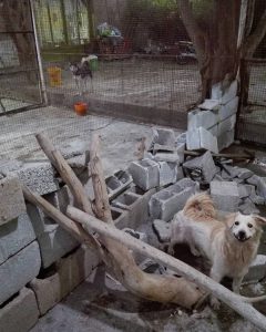 باغ وحش هویزه