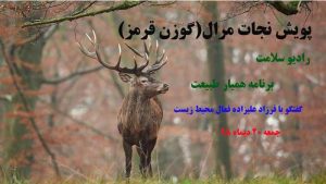 پویش نجات مرال