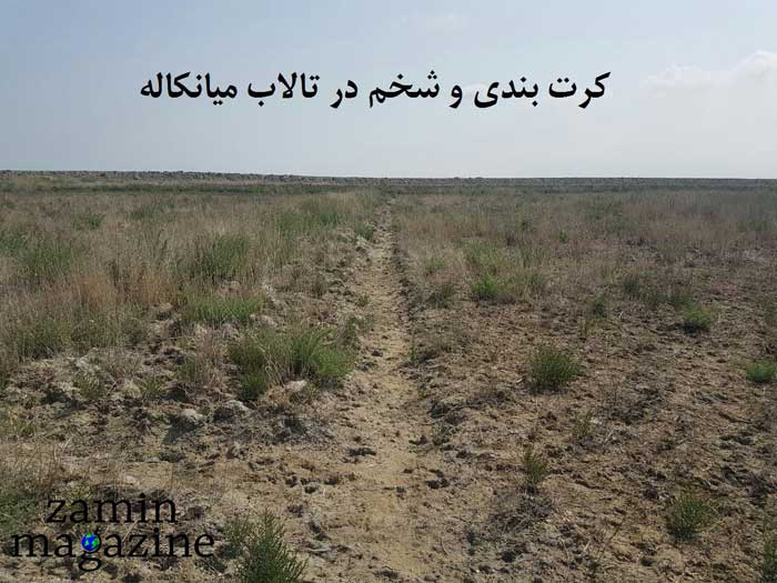 تالاب خواری در میانکاله