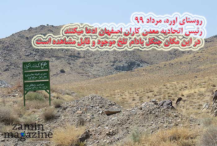 جنگل دست کاشت بادام تلخ مورد ادعای معدن داران