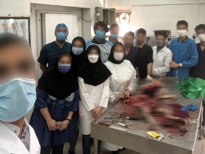 سگ دانشگاه شوشتر