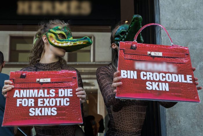 مزرعه کروکودیل مشهد