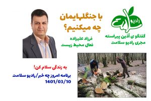 جنگل بلوط
