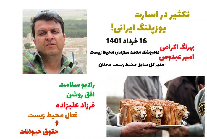 تکثیر در اسارت یوز اسیائی