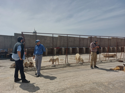 سمدا در شبکه 5 سیما