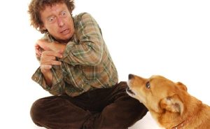 Vilifying dogs